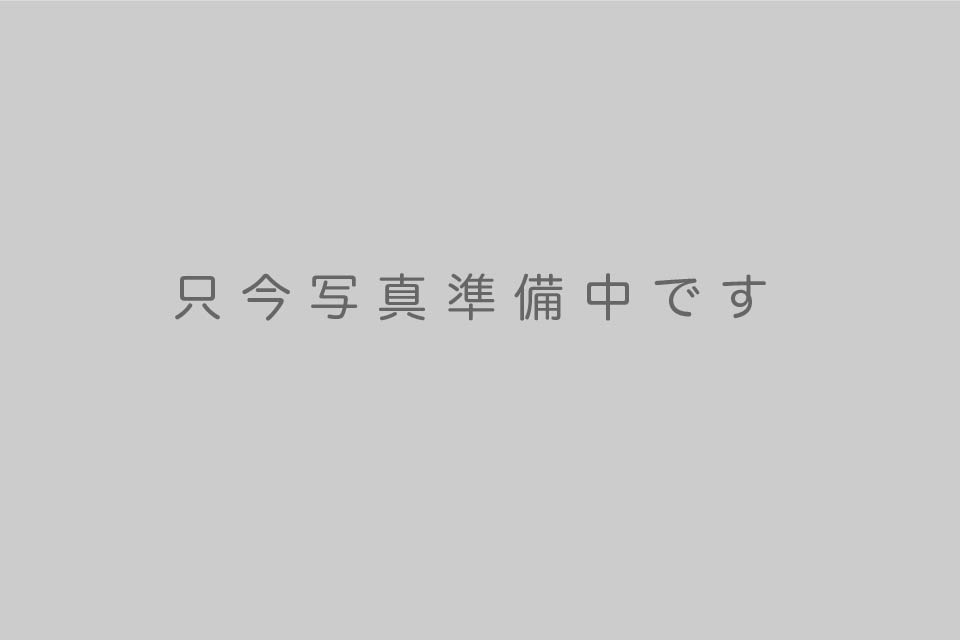 noimageアートボード 1 noimageアートボード 1